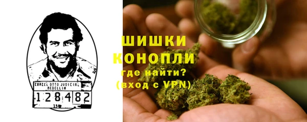 ГАЛЛЮЦИНОГЕННЫЕ ГРИБЫ Абдулино