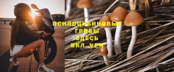 крисы Алексин